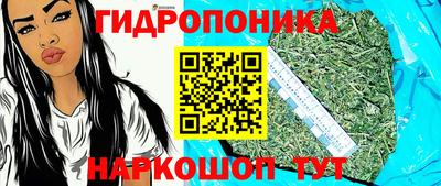 ешки Тара